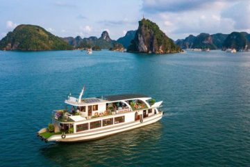 Hạ Long 1 Ngày Thăm Vịnh 6 Tiếng ( Đi xe Cao tốc 2 chiều Hà Nội – Hạ Long)2